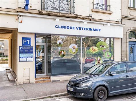 vtrinaire metz pas cher|Clinique Vétérinaire Messine à Metz 